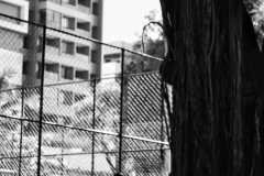 Foto nº3